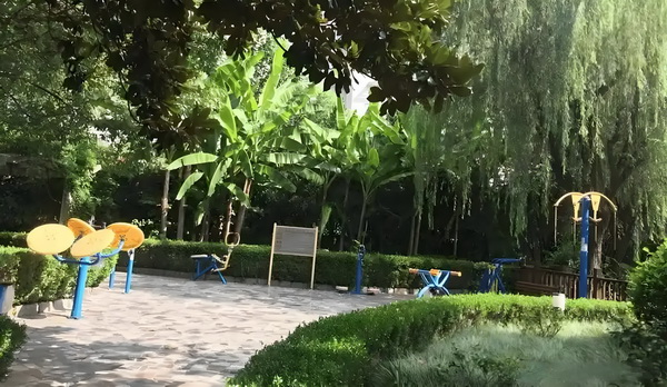 亲爱的好酷
